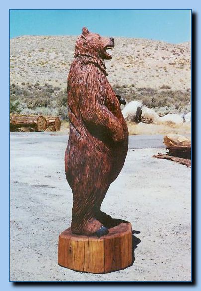 2-03 bear-archive-0001